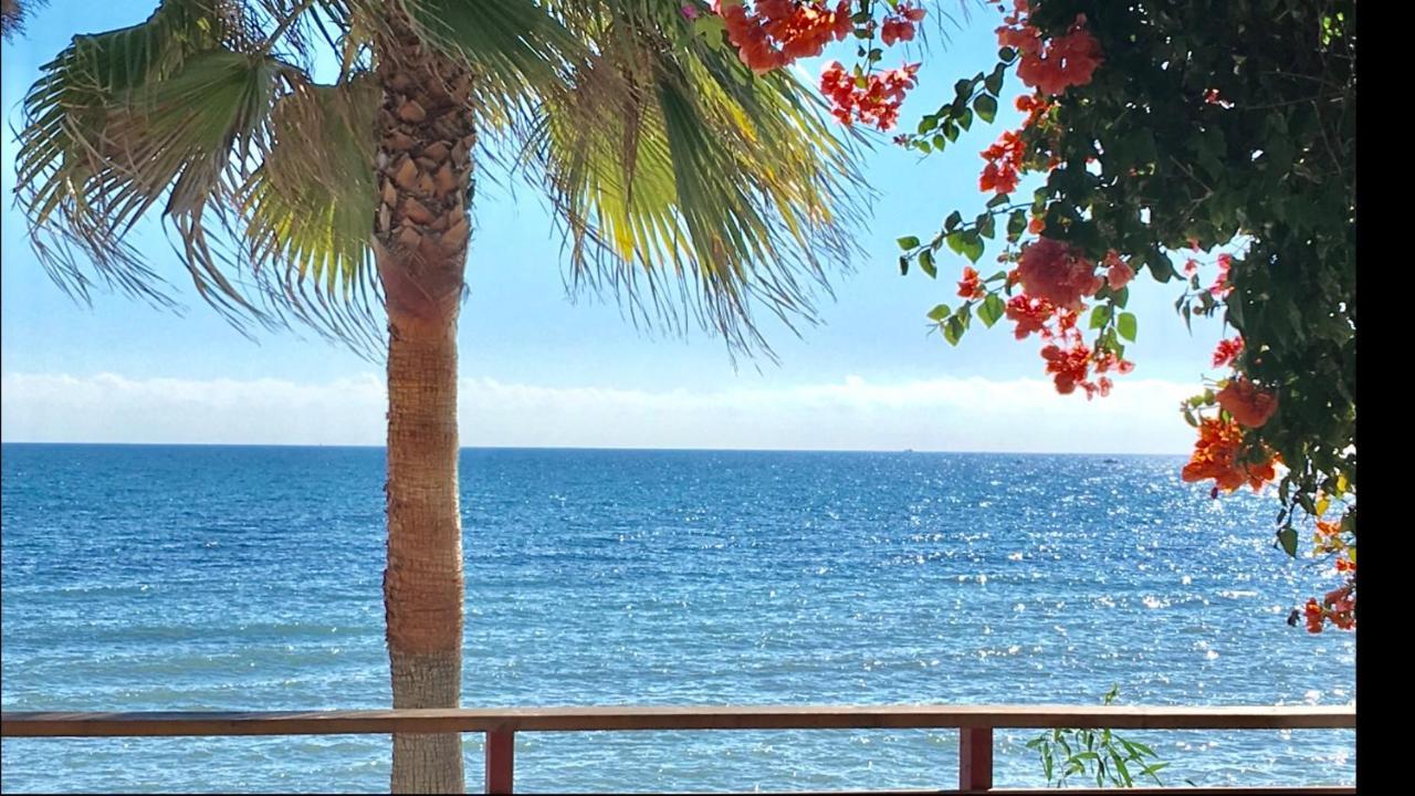 Mi Capricho 3-5 Beachfront- Apartment With Sea Views In Costa Del Sol Sitio de Calahonda Exteriör bild